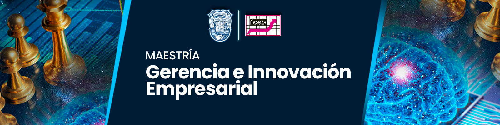 Banner Maestría en Gerencia e Innovación Empresarial - Universidad del Zulia